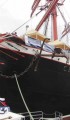 Tall Ships Races znowu w Szczecinie
